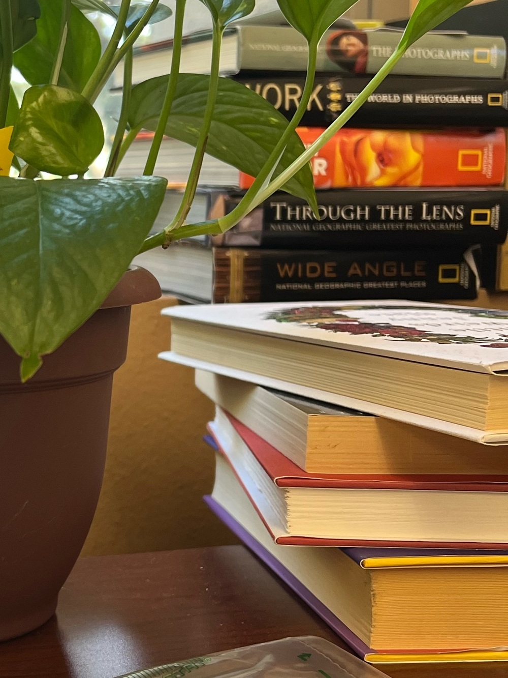 Bundle of books